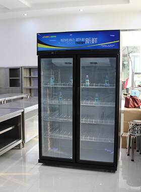 啤酒柜 厂家供应商用两门立式超市冰箱 冷藏柜酒吧啤酒冷藏展示柜