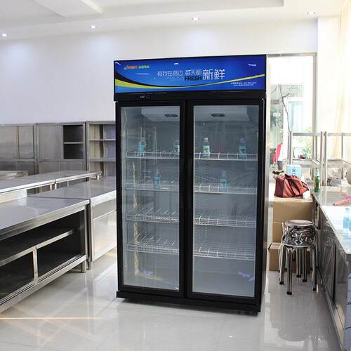 啤酒柜 厂家供应商用两门立式超市冰箱 冷藏柜酒吧啤酒冷藏展示柜