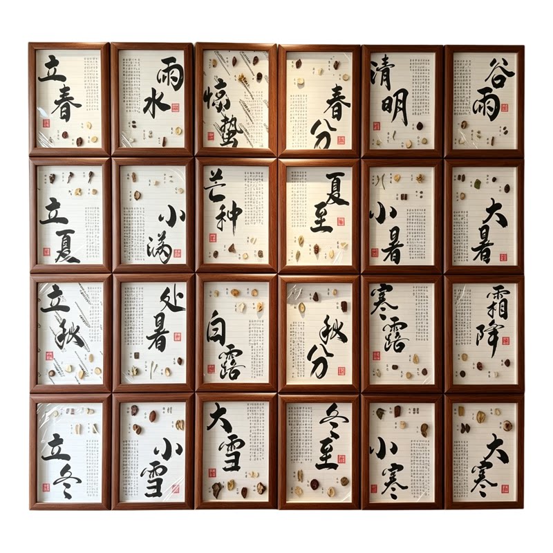 中药标本装饰画二十四节气中医药标本装饰画标本摆件中草药展示墙