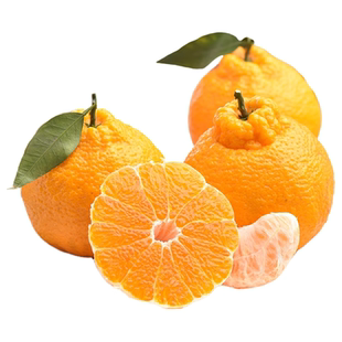 四川产地发货正宗春见耙耙柑新鲜应季水果现摘爆汁丑柑桔子