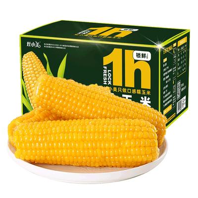 灶小美内蒙古黄糯玉米礼盒装