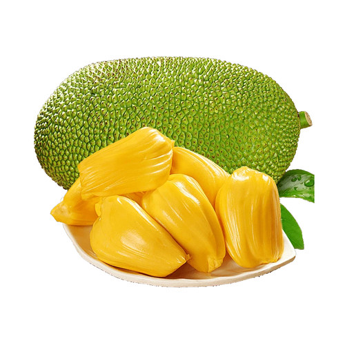 菠萝蜜树树苗嫁接果树果苗大树当年结果四季庭院盆栽地栽耐寒榴莲