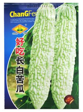 蔬菜蓝山超大型抗病四季苦瓜种子