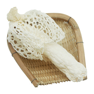 一级织金竹荪干货官方旗舰店新鲜竹笙干半野生贵州红托火锅菌特级