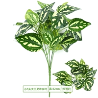 Маленькая 5 головой, большой лист холодной воды тройничной воды