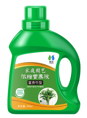 富贵竹营养液治黄叶促生根