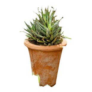 复古红陶花盆多肉透气陶土盆做旧文艺田园艺术简约粗陶阳台陶瓷盆