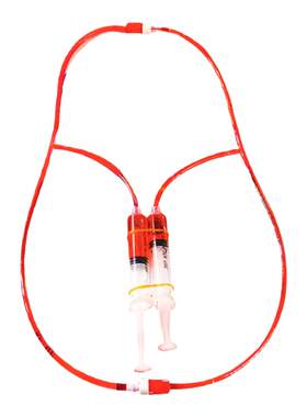 人体心脏血液循环模型生物实验