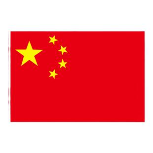中国国旗五星红旗党旗团旗5号4号3号2号1号6号红旗纳米防水防晒手摇小彩旗大国旗标准户外室外旗帜
