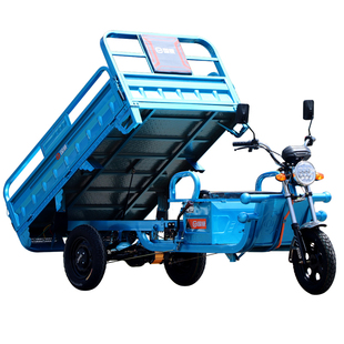 成人国威新国标车棚拉货家用接送孩子电动三轮车电瓶车厂家直销