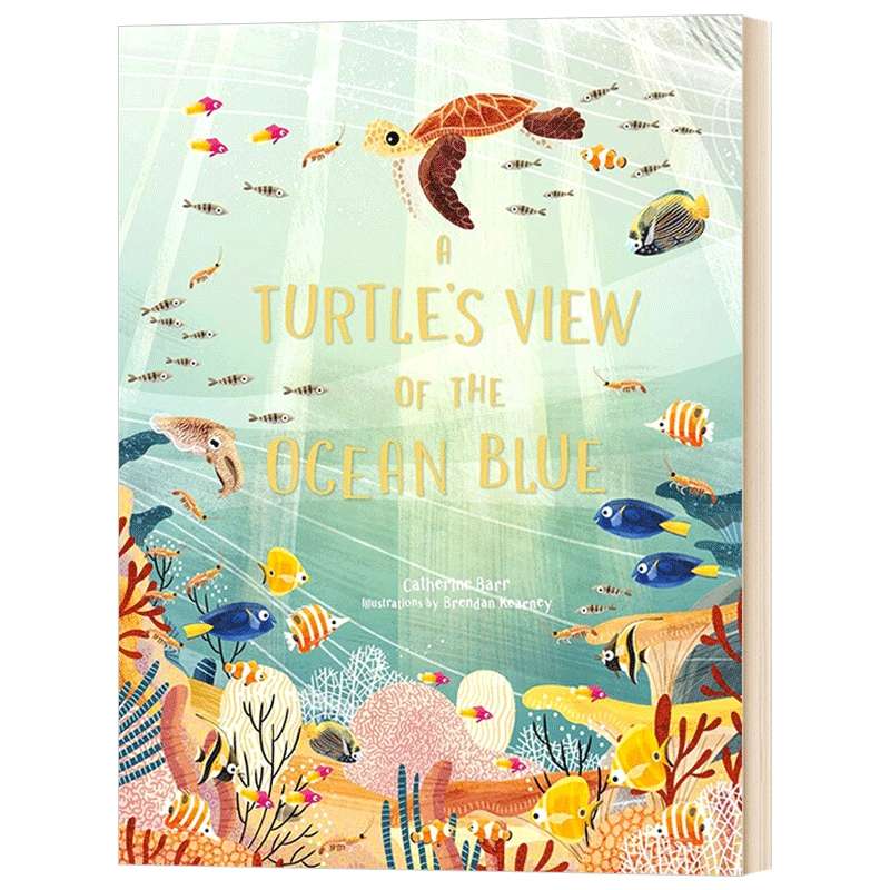 海龟眼中的海洋 英文原版 A Turtle's View of the Ocean Blue 英文版 Catherine Barr 全英文版进口原版英语书籍
