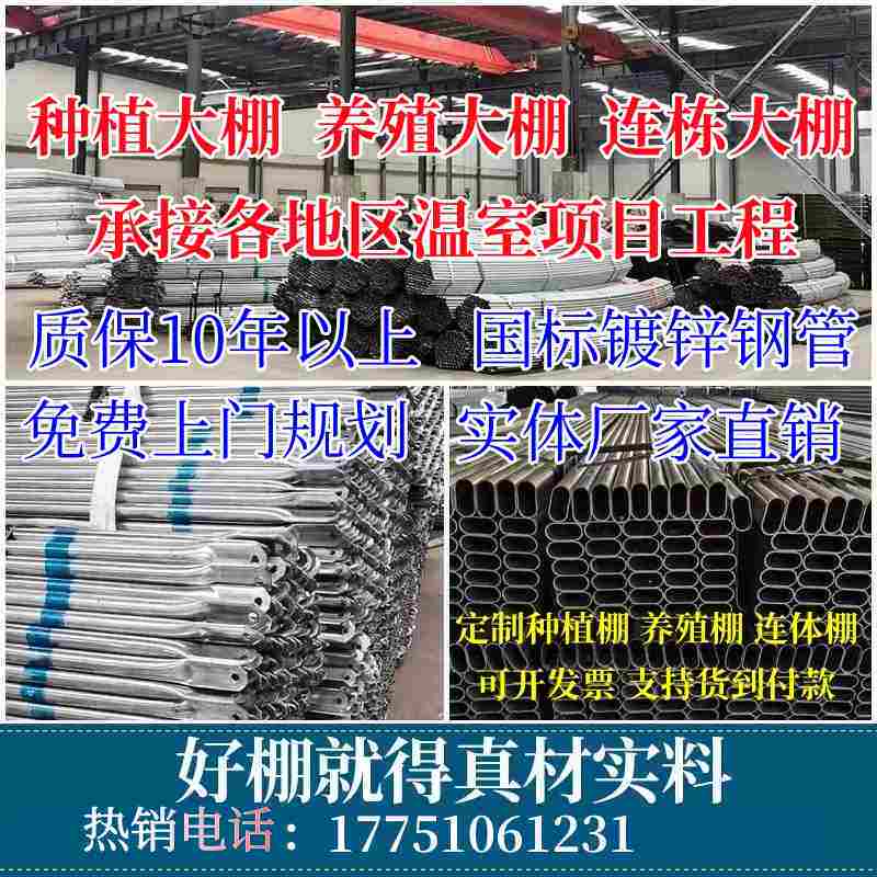 种植蔬菜保温大棚钢骨架镀锌椭圆管暖棚水产育苗养殖连体连栋全套