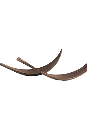 ins植物摆件小众果壳形状民宿