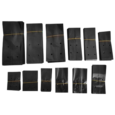 育苗袋加厚塑料营养袋