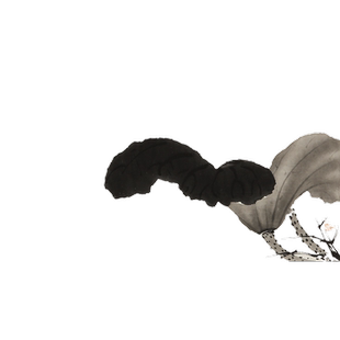 朵云轩木版水印 明 徐渭 荷花 非遗中国画装饰画