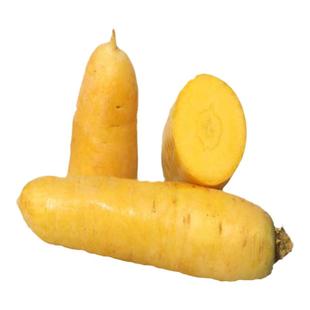 全年供货山西运城手抓饭新鲜蔬菜黄胡萝卜3斤5斤9斤100斤