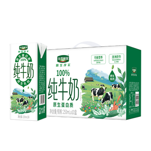 华农原实生牛乳纯牛奶澳洲奶牛全脂儿童学生营养均衡早餐奶250*16