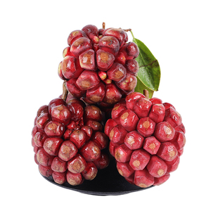 顺丰空运特大黑老虎布福娜新鲜水果当季恶魔果冷饭团血藤果软点吃