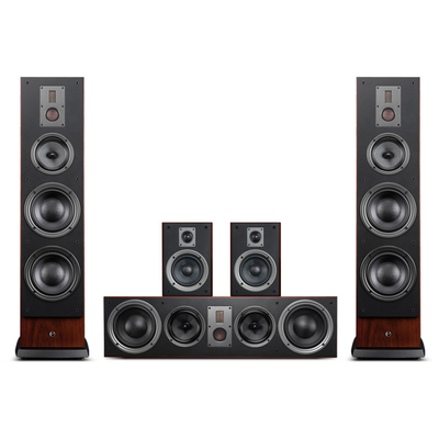 Swan惠威RM800HT家庭影院5.1音响客厅环绕电视中置音箱环绕低音炮