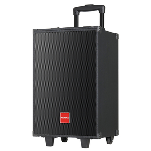 先飞广场舞音响户外移动拉杆唱歌k歌音箱蓝牙大功率重低音演讲