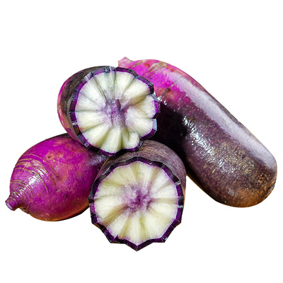 紫美人凤梨萝卜做泡菜好原料多汁