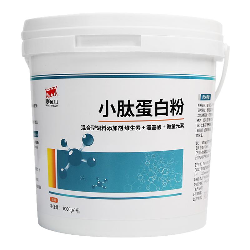 心连心鸽药小肽蛋白粉补蛋白营养易吸收换羽毛丰满鸽子调理鹦鹉鸟