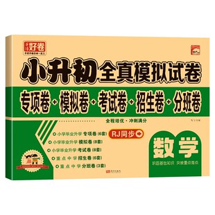 小升初真题卷语文数学英语必刷题人教版 小学毕业升学总复习资料六年级下册试卷测试卷全套名校模拟卷子分类专项训练衔接教材