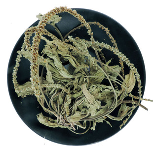 车前草中药材2025年野生新货整株车前草新鲜干货整颗全草车前草茶