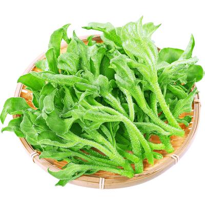 新鲜现摘冰草当季沙拉蔬菜火锅菜