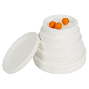 一次性餐盘菜盘蛋糕盘子纸碟子托盘白色加厚餐具绘画圆盘骨碟纸盘