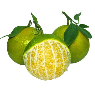 顺丰速发正宗德庆皇帝贡柑新鲜贡柑当季水果广东桔甜橘子大礼盒装