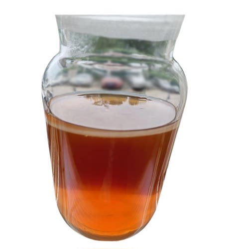 正宗红茶菌菌种传统原瓶老胃宝海宝菌母菌种醋蛾子康普茶手工养殖