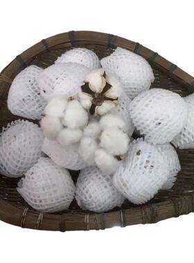 棉花朵 棉花桃带籽带壳棉花结婚生子装饰干棉花头棉朵棉10朵包邮