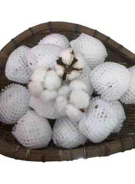 棉花朵 棉花桃带籽带壳棉花结婚生子装饰干棉花头棉朵棉10朵包邮