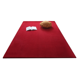 定制红色地毯满铺加厚毛绒卧室客厅茶几垫服装摄影棚拍照结婚地垫