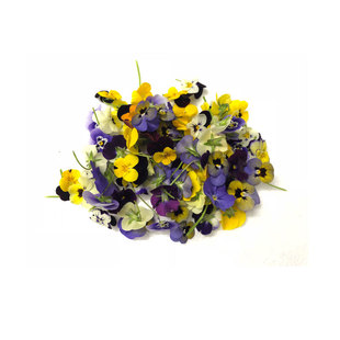 新鲜三色堇三色花可食用花酒店西餐摆盘烘焙蛋糕点缀装饰花草50朵