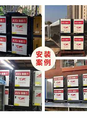瑞喜力DGRH-AS-6K 商用餐饮业厨房油烟净化器异味臭氧降解设备