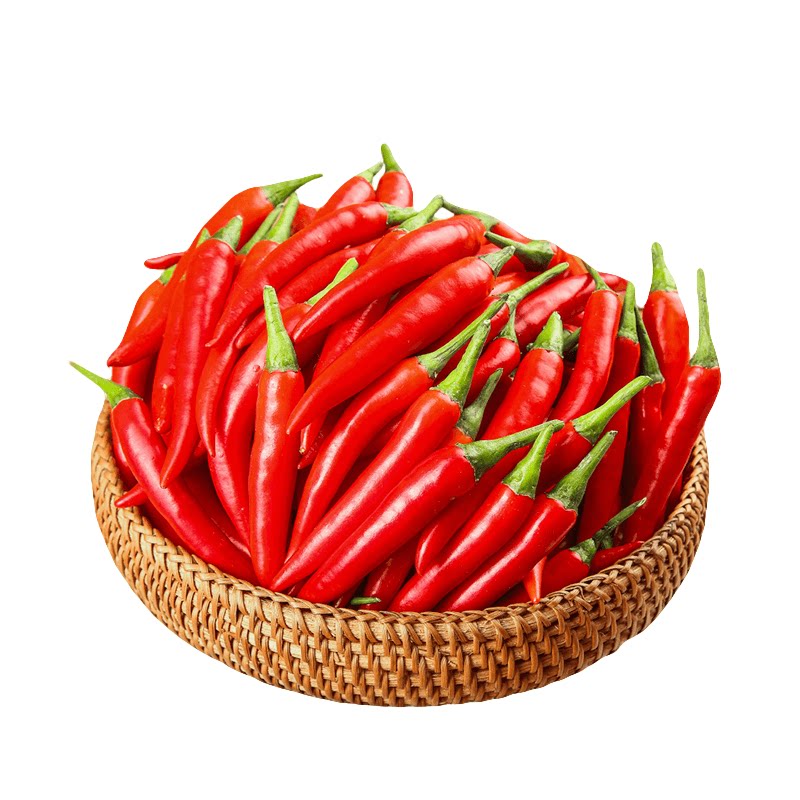 小米椒!新鲜当季!辛辣十足!