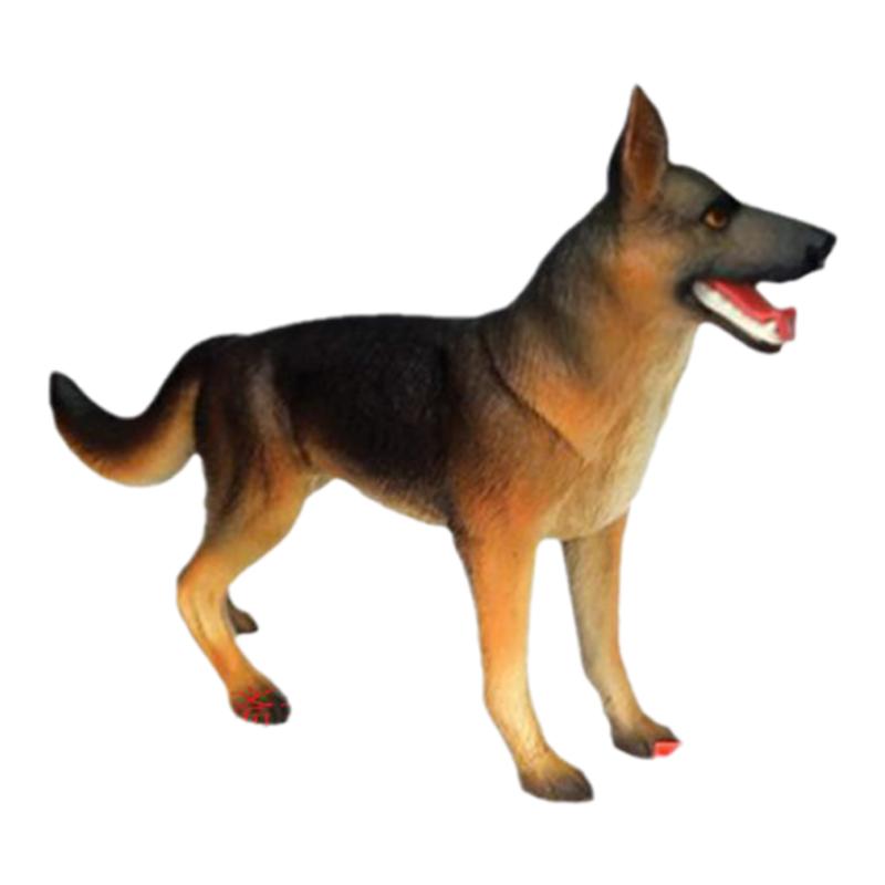 4D MASTER动物解剖模型生物实验犬模型教学益智拼装玩具狼狗骨骼