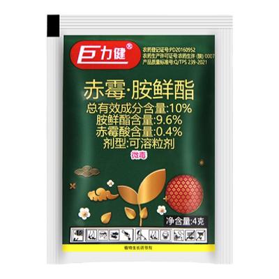 汤普森巨力白菜果蔬抗旱赤霉酸