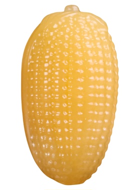 和田玉黄玉玉米手把件