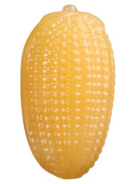 和田玉黄玉玉米手把件