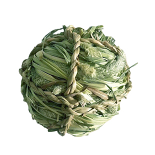 狗狗草编球天然气味丰荣玩具嗅闻磨牙自嗨解闷防拆家宠物狗咬草球