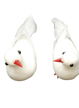 仿真和平鸽子展翅白鸽园林装饰鸟