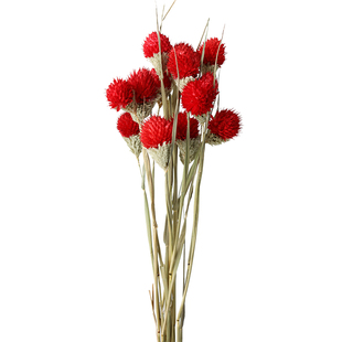 云南千日红干花花束混合式田园风格服装店装饰橱窗摆件粘花草莓花