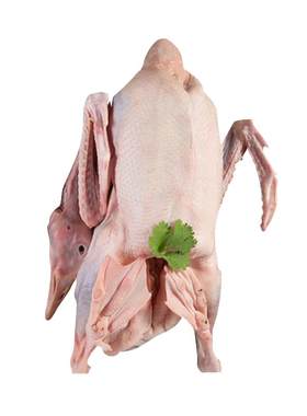 散养鹅肉整只新鲜现杀坏单包赔