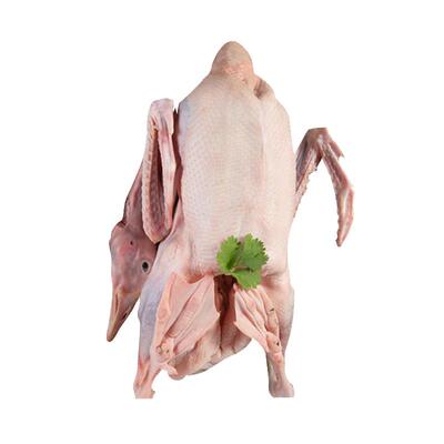 散养鹅肉整只新鲜现杀坏单包赔