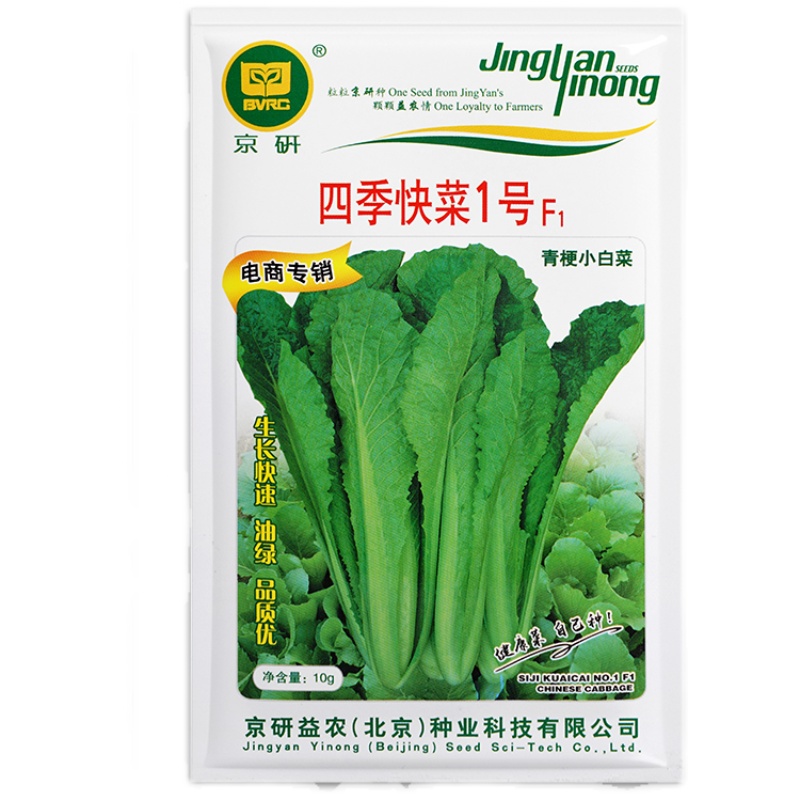 农科院白菜种子四季速生快菜奶油小白菜耐寒耐热家庭易种蔬菜籽孑