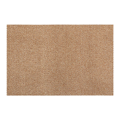 比国补还便宜！进门地垫真颗粒