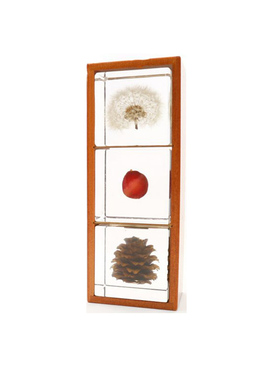 sola三个礼盒装创意送女生标本